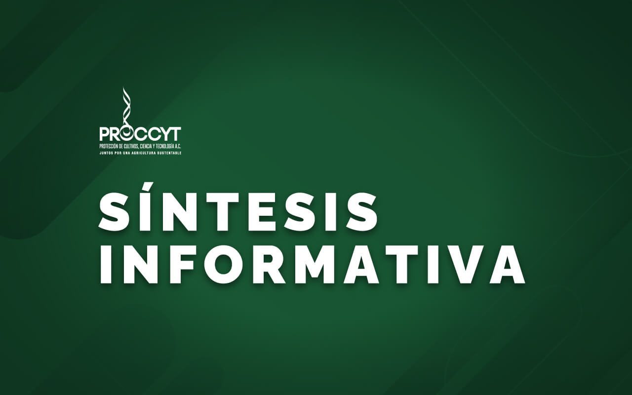 Proccyt-Sintesis-Noticias